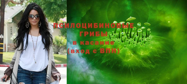 винт Аркадак