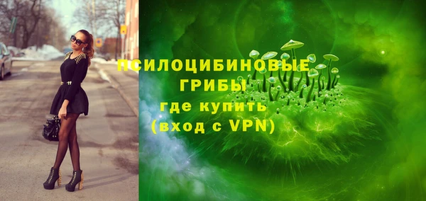 винт Аркадак