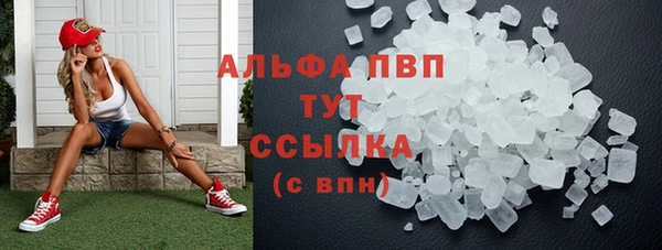 винт Аркадак