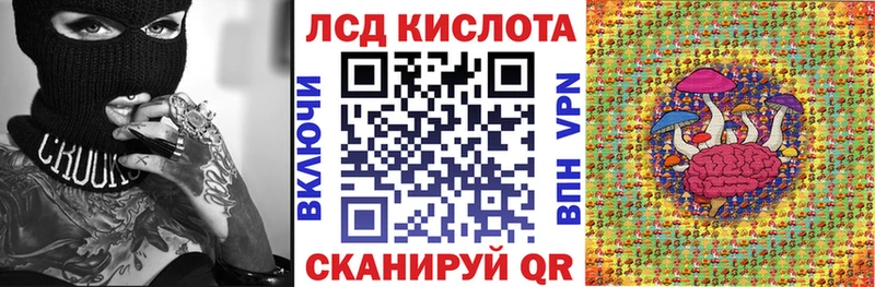 цена наркотик  MEGA как войти  Марки N-bome 1500мкг  Пошехонье 